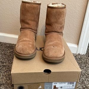 UGG classic short chestnut size 6